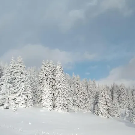 L' Aier - Arabba - Dolomiti *